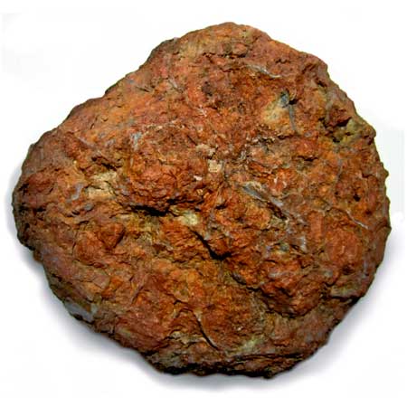 Dino coprolite Utah